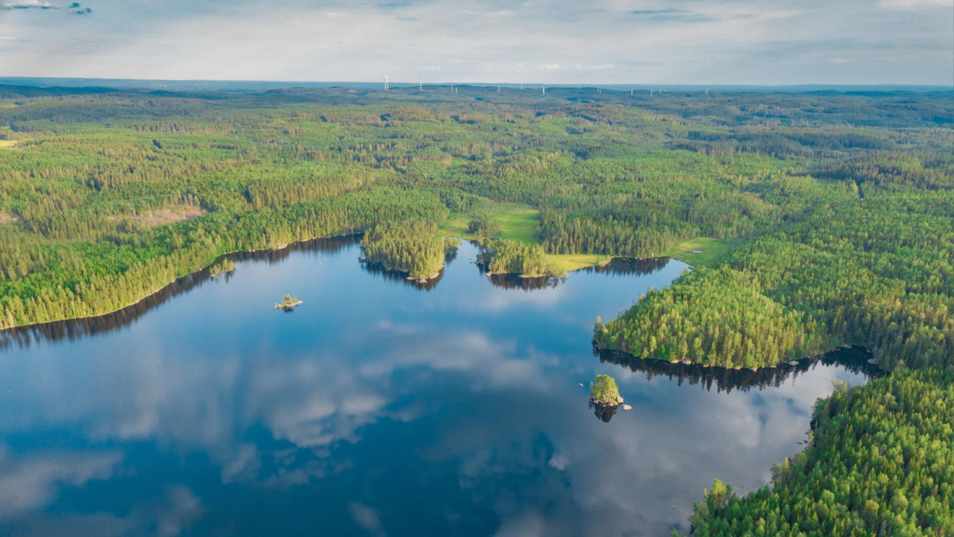Blå himmel med trädtoppar